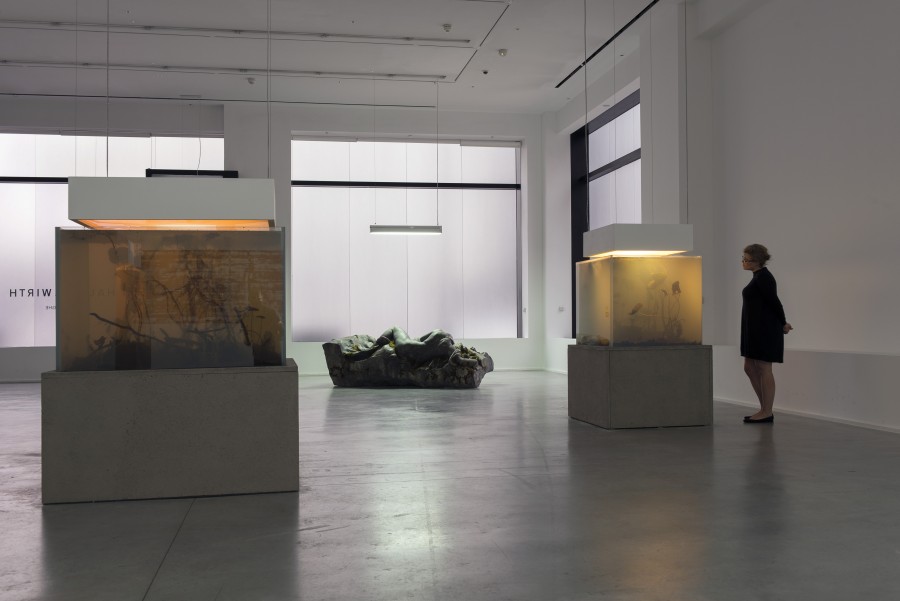 Installation-View-Pierre-Huyghe-5-e1414376898672
