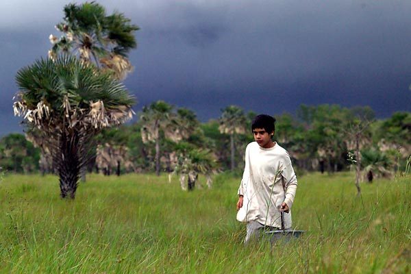 nordeste film